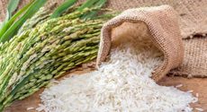 چرا فروشگاه اینترنتی برنج تالش؟