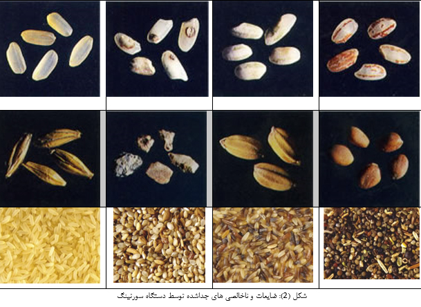 سورتینگ برنج