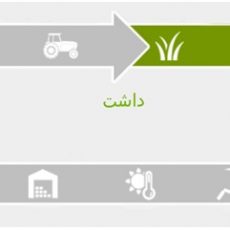مرحله داشت برنج
