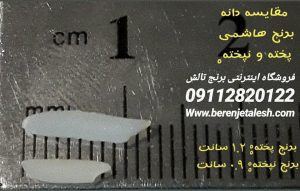 سایز برنج پخته شده