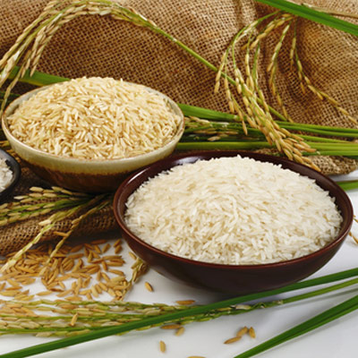 پس از برداشت برنج چه اتفاقی می افتد؟