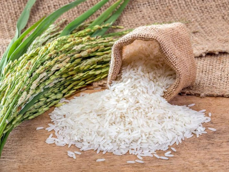 بورس برنج تالش